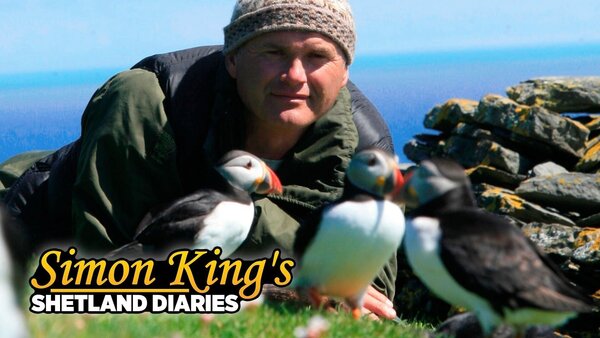 Simon King's Shetland Diaries