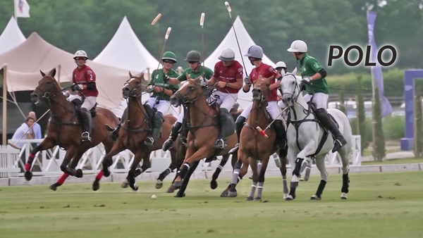 Polo