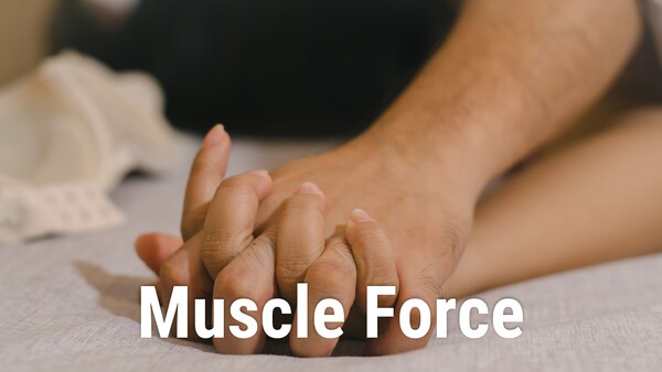 Muscle Force