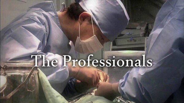 The Professionals