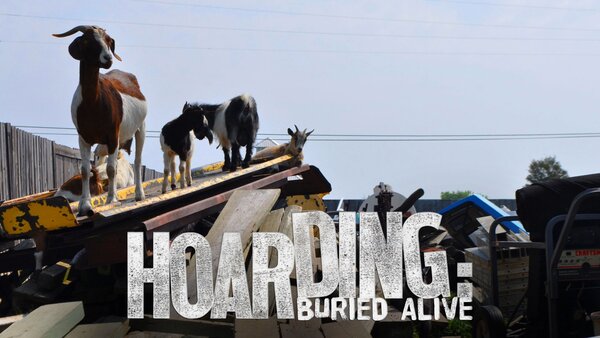 Hoarding: Buried Alive