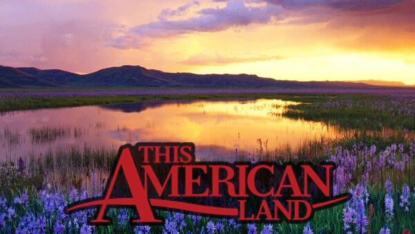 This American Land