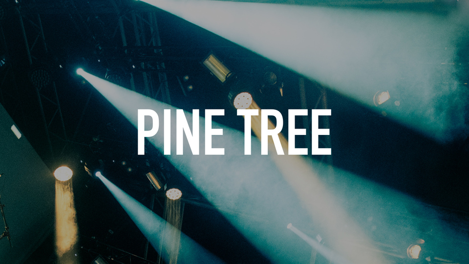 Pine Tree
