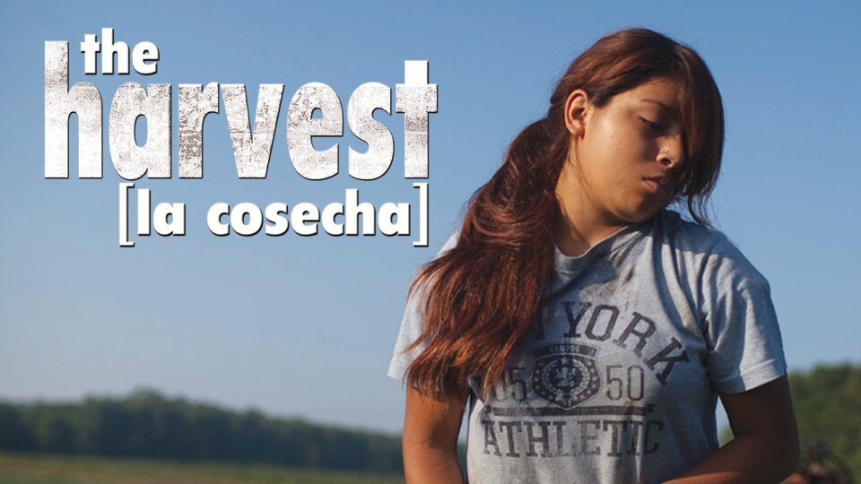 The Harvest
