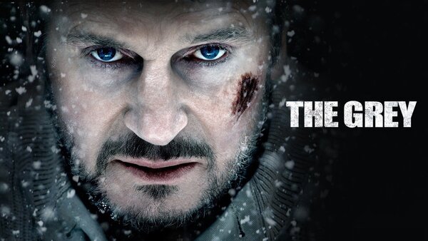 The Grey