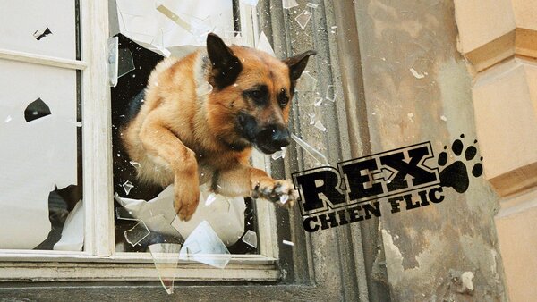 Rex, chien flic