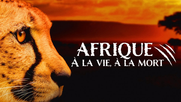 Afrique - A la vie, à la mort
