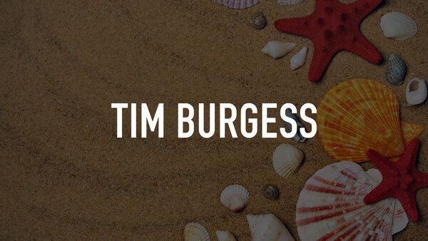 Live: Tim Burgess