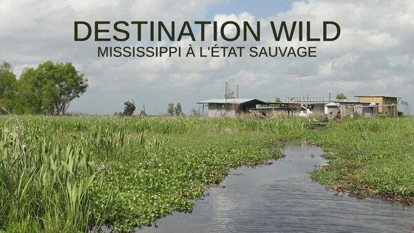 Destination Wild : Mississippi à l'état sauvage