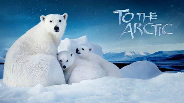 To the Arctic