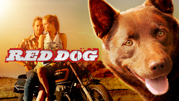 Red Dog