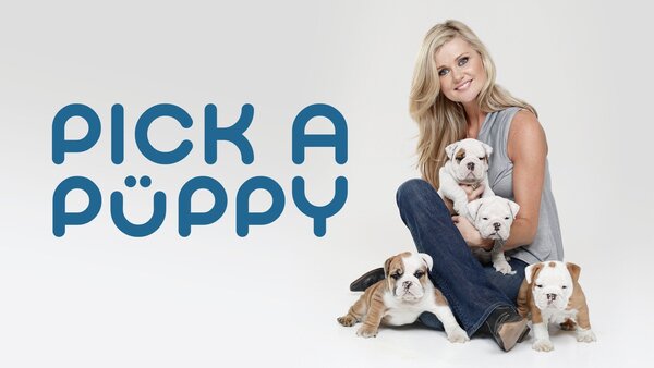 Pick a Puppy