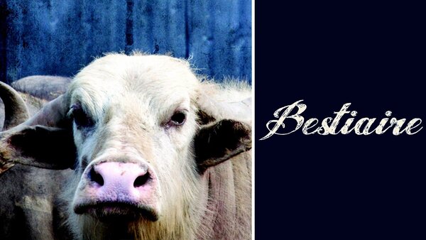 Bestiaire