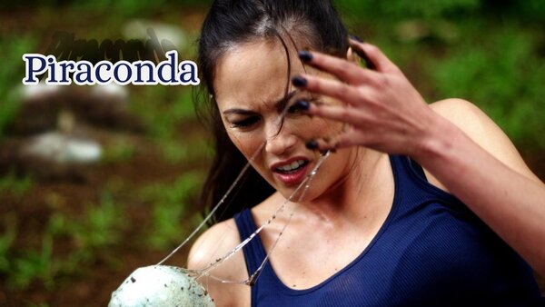 Piraconda