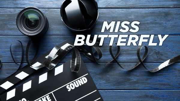 Miss Butterfly