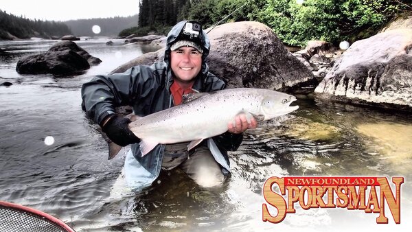 Newfoundland Sportsman