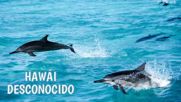 Hawái desconocido