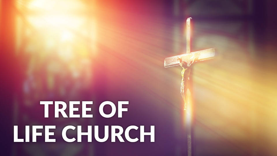 Tree of Life Church