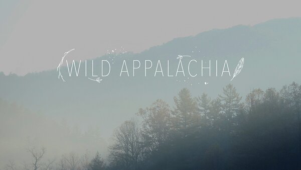 Wild Appalachia