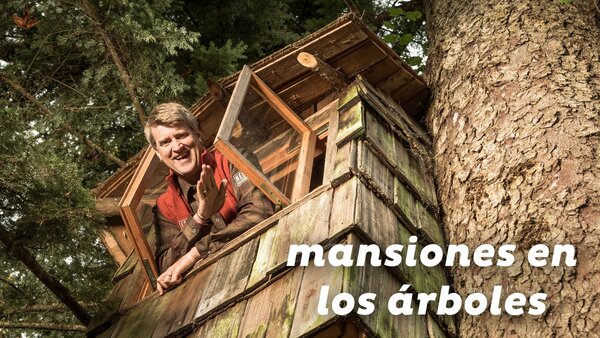 Mansiones en los árboles
