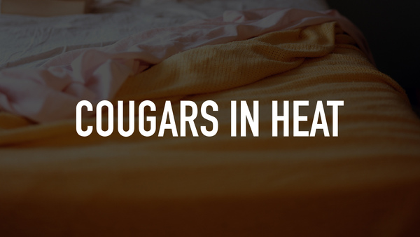 Cougars in Heat