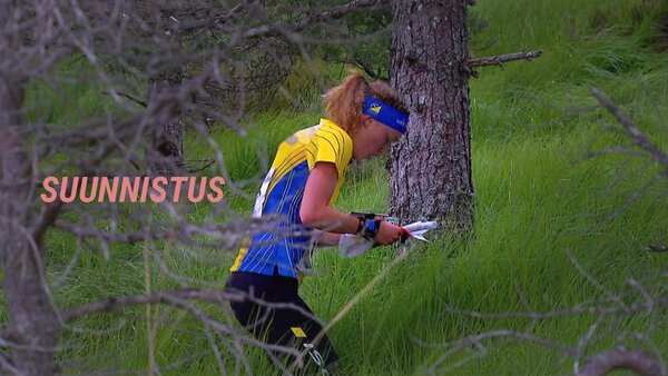 Live: Suunnistus