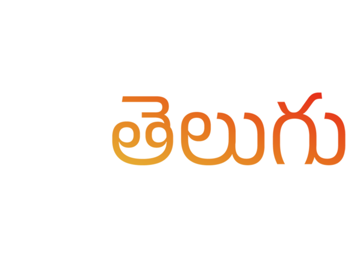 Zee Telugu logo