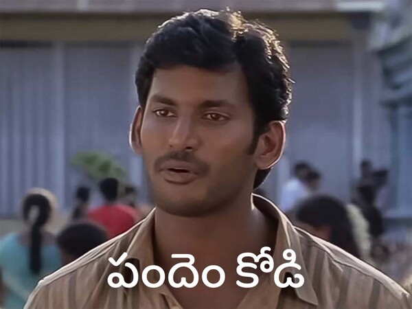 Pandhem Kodi
