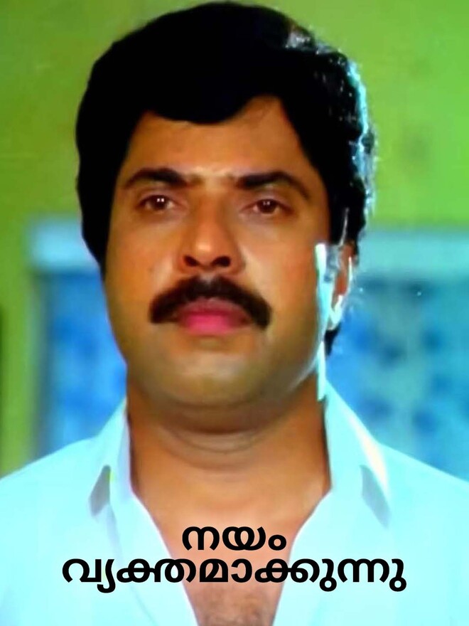 Nayam Vyakthamakkunnu