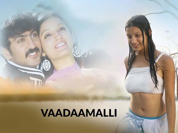 Vaadaamalli