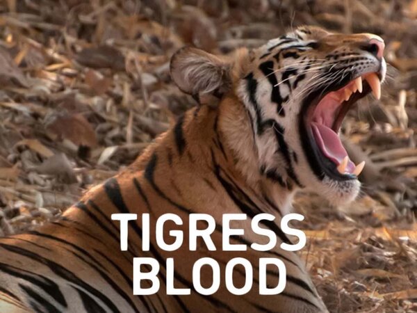 Tigress Blood