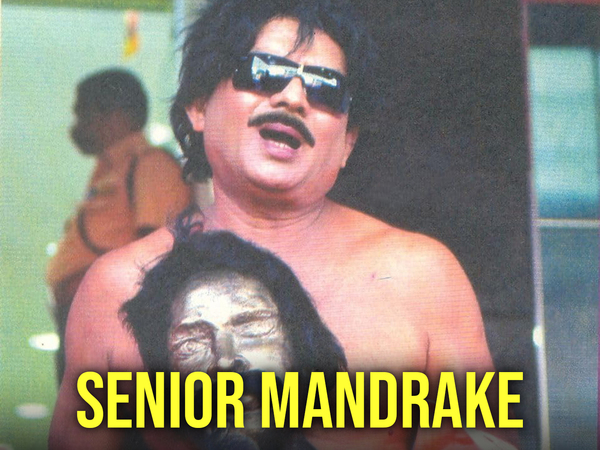 Senior Mandrake