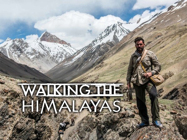 Walking the Himalayas