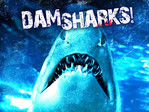 Dam Sharks!