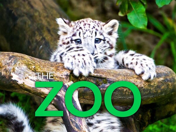 The Zoo