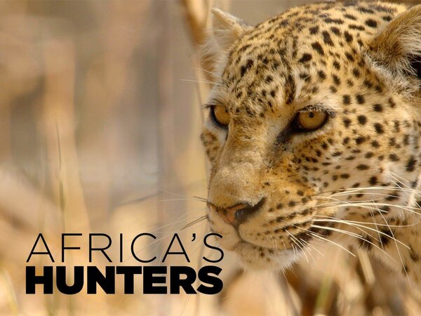 Africa's Hunters