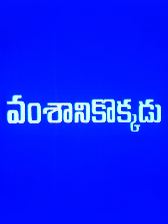 Vamsanikokkadu
