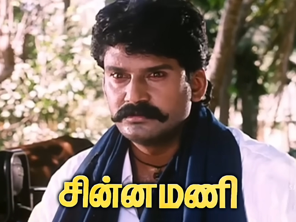 Chinna Mani