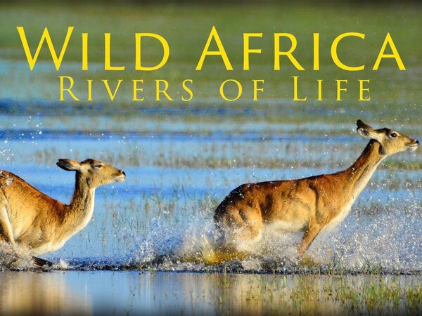 Wild Africa: Rivers of Life