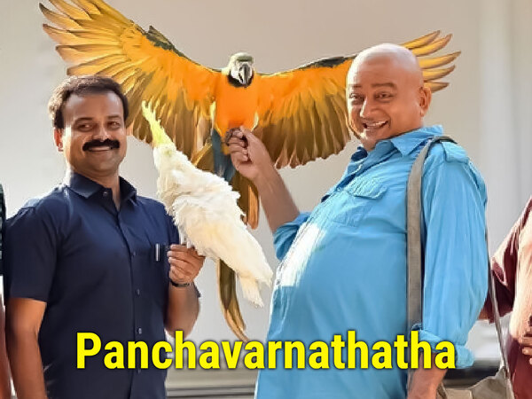 Panchavarnathatha