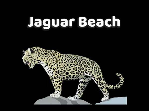Jaguar Beach