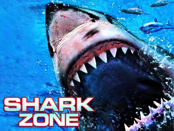 Shark Zone