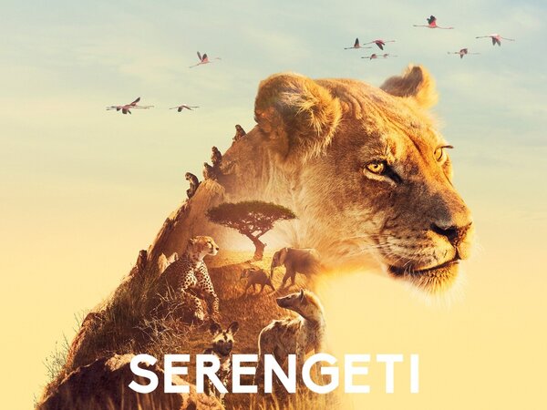 Serengeti