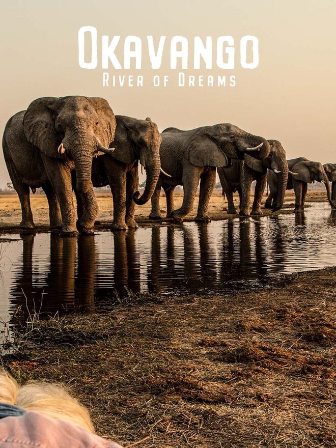 Okavango: River of Dreams