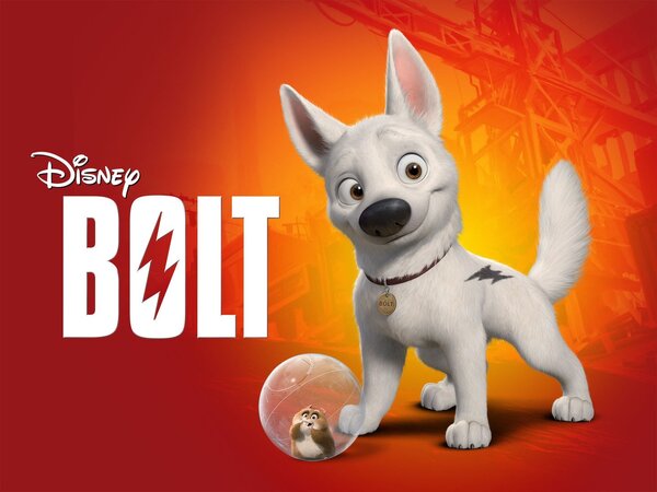 Bolt
