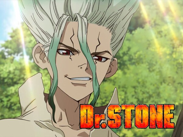 Dr. Stone