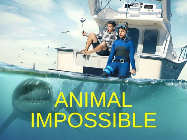 Animal Impossible