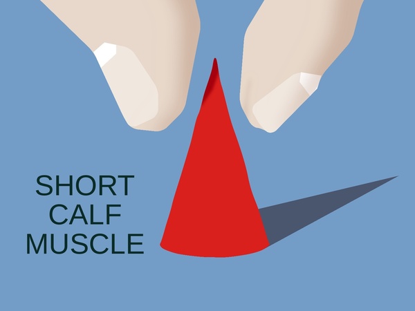 Short Calf Muscle