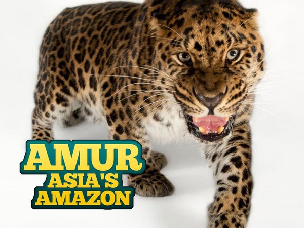 Amur, Asia's Amazon