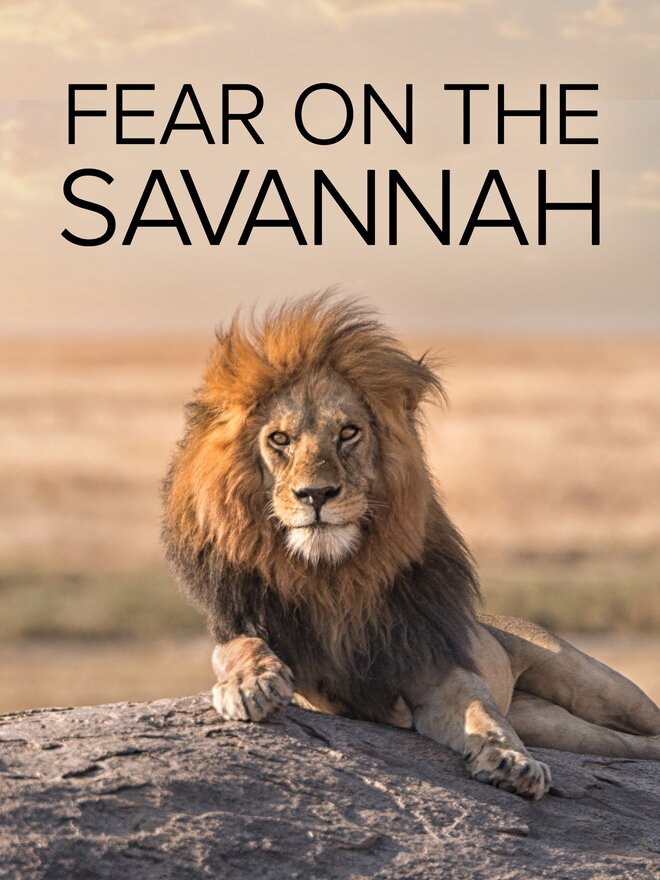 Fear on the Savannah